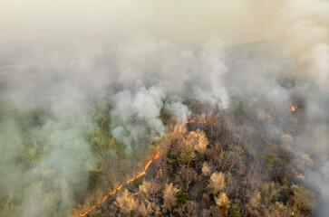Wildfires release carbon dioxide (CO2) emissions and other greenhouse gases (GHG) that contribute to climate change.
