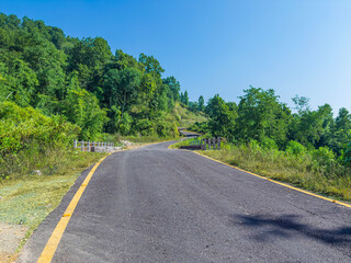 road in the forest to the hills and mountains clean unique and latest