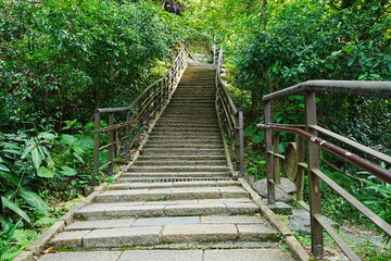 Hiking Trail in Xianshan or Elephant Mountain Park in Taipei, Taiwan - 台湾 台北 象山自然歩道