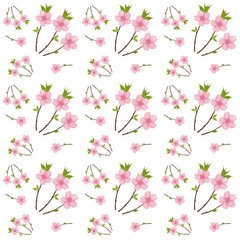 Pink cherry blossom image, background, wallpaper.