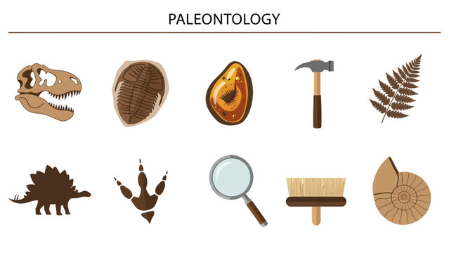 Paleontology icons depicting fossils tools and prehistoric life forms