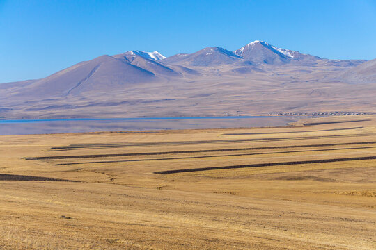 A field of faded, bright brown, yellow grass, plowed in places. Village houses on the lakeshore. Snow-capped mountains, a bright blue sky in the background. Paravani lake, Javakheti, Georgia.