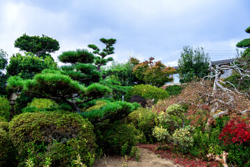 Fototapeta premium The beautiful garden and traditional house at Japan.