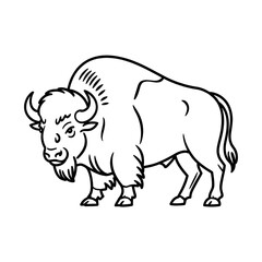 vector illustration of a bull
