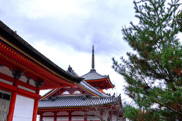 Naklejka premium The wonderful temple colored with red and black color light at Kyoto Japan.