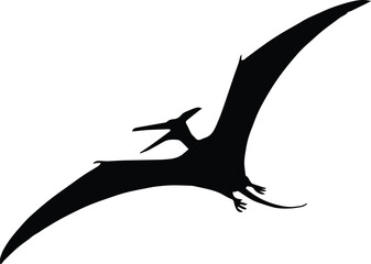 pterosaur isolated silhouette vector of flying dinosaur on white background © AIcon Star