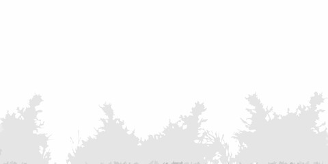 Silhouetted evergreen trees against a pale almost white sky