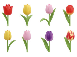 Obraz premium set of pink tulips
