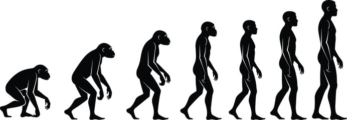 Human Evolution Silhouette Sequence Showing Primate To Modern Man Progression Walking Upright Through Stages Of Development History Anthropology Science Timeline © Lutfun Creatives