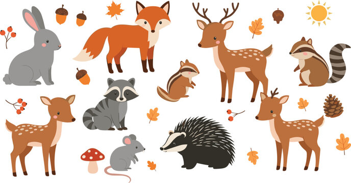 Cute forest animal illustration set with deer, fox, raccoon and autumn elements, charming cartoon vector collection for woodland, kids and seasonal design projects