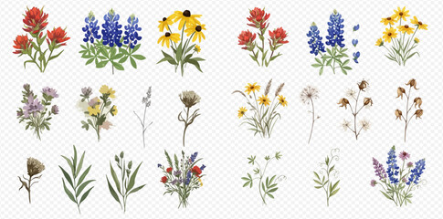 Collection of various watercolor wild flowers and green leaves on a transparent background, perfect for spring and summer designs.