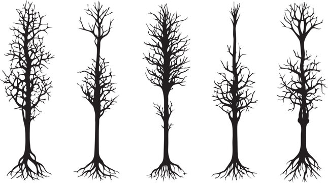 Five tree silhouettes with exposed roots on white background