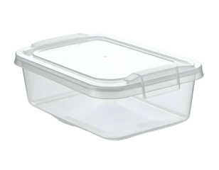Clear plastic rectangular food storage container with hinged lid