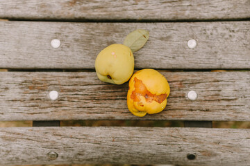 Two Ripe Apples or Pears Resting on a Rustic Wooden Table or Bench in Soft Light
