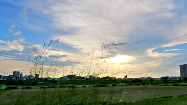 多摩川の河川沿いに移動した夏の夕景（タイムラプス・ハイパーラプス）