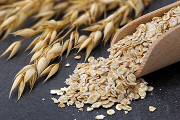 Oatmeal in a wooden scoop next to ripe oat ears of Avena sativa on a dark kitchen counter, close up of healthy oats for porridge