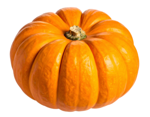 Ripe orange gourd with prominent ridges and textured skin