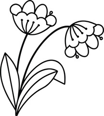 romantic flower outline vector illustration on transparent background