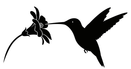 Silhouetted Hummingbird Drinking Nectar from a Blooming Flower Elegant Black and White Wildlife Illustration © Hens Craft