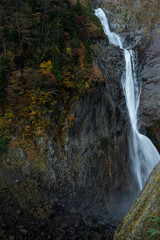 Obraz premium 紅葉する秋の美しい称名滝 