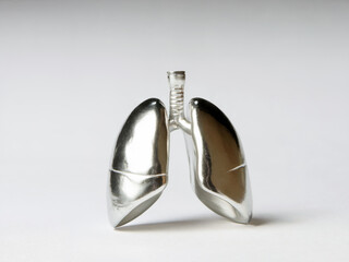 Silver Anatomical Lungs Sculpture - Medical Health Symbolism