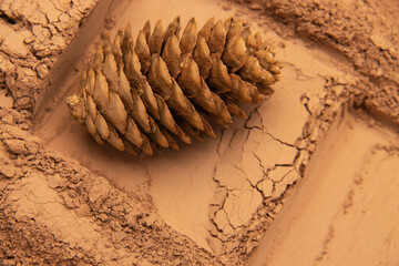 The patterns formed by clay, sand, and soil are embellished with pine cone props. The layout is simple and has Middle Eastern and American Western styles, which are relatively simple. The design inclu