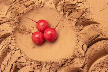 The pattern formed by clay, sand, and soil is embellished with a few sacred fruit props. The layout is simple, with Middle Eastern style and American Western style, relatively simple. The design inclu