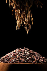 Still life photography of black rice and rice stalks. Black rice in a wooden bowl, with rice stalks hanging on top.