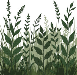 Obraz premium Create a kinds of deferent realistic Ornamental wild grass from the reed grass family vector art white background..
