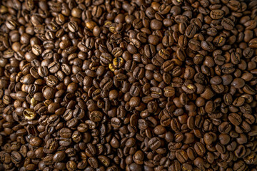 Artisan Coffee Roasting – Fresh Coffee Beans in a Modern Roastery