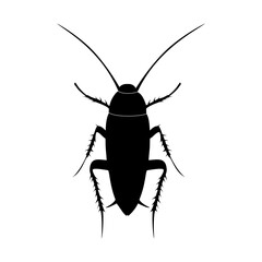 Cockroach icon, Silhouette icon of cockroach. Flat vector illustration design isolated on white background.