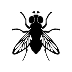 Fly icon, House flies, Silhouette icon of fly. Flat vector illustration design isolated on white background.
