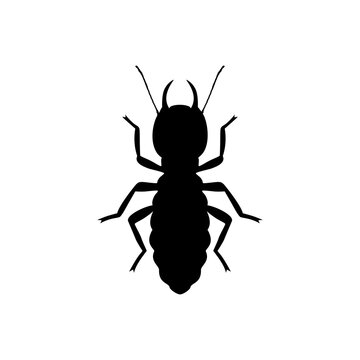 Termite icon, Silhouette icon of termite. Flat vector illustration design isolated on white background.