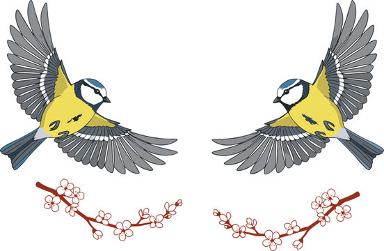 Blue Tits Flying Over Delicate Cherry Blossom Branches, Isolated Vector Illustration of Spring Birds in Motion for Nature and Wildlife Designs, Flat Drawing