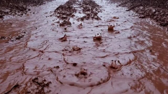 Captured Rain Droplets Creating Majestic Splashes And Ripples In A Muddy Environment