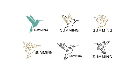 Minimal hummingbird graphic vector illustration featuring clean line art and modern logo-style designs, suitable for branding, identity, and decorative visual projects