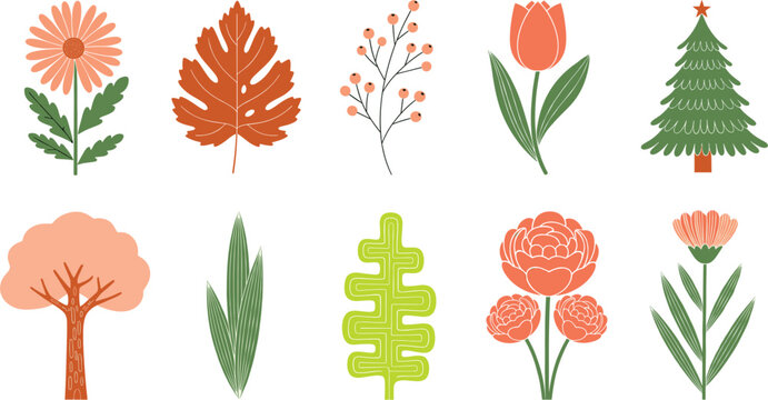 Cute Botanical Illustration Set Featuring Flowers, Leaves, Trees and Decorative Plants in Modern Flat Scandinavian Style