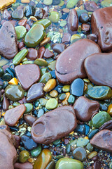 Assorted multicoloured pebbly wet rocks in the shallows of a saltwater lagoon.