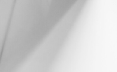 Background shadow white light wall floor backdrop overlay leaf mockup summer sunight overlay nature on room cement abstract blur muckup effect grey minimal platform for presentation product