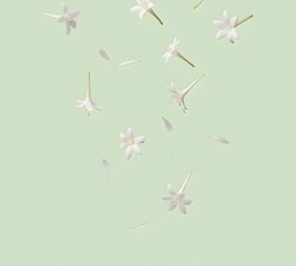 Composition of White Cork Tree Flowers in Motion