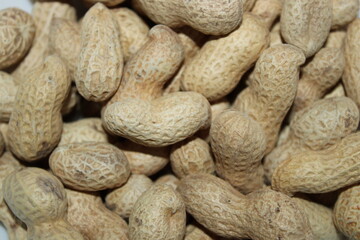 People enjoy eating peanuts in a casual outdoor setting during a summer gathering with friends and family