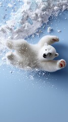Aerial view of polar bear cub playing in snow and ice