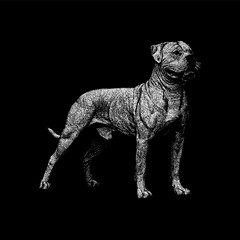 A powerful American Bulldog standing confidently in a classic side profile, captured in a detailed black and white illustration that highlights its muscular build, strength, and loyal character.