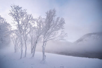 Obraz premium Frost coats the trees as the fog rolls over a river in a remote area at dawn. The scene shows the quiet beauty of winter with white landscapes and mist. High quality photo