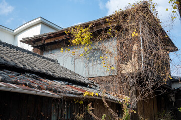 日本の岡山県倉敷市の白壁の美しいレトロな町並み
