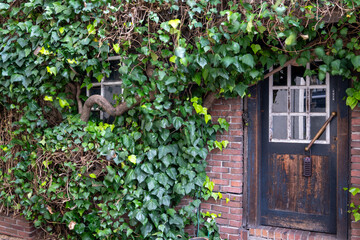 日本の岡山県倉敷市の白壁の美しいレトロな町並み