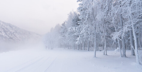Snow covers the ground and trees in a winter landscape with mist in the air near a mountain range during a cloudy day. High quality photo