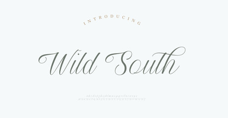 Script typography beauty fashion elegant minimalist serif italic fonts decorative wedding vintage retro logos. Minimal luxury font alphabet logo. Vector illustration © Wonderlord