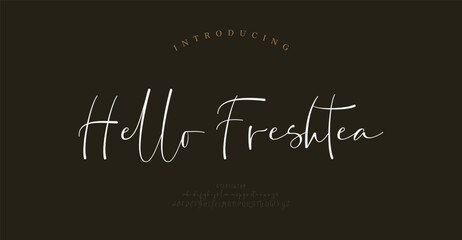 Script typography beauty fashion elegant minimalist serif italic fonts decorative wedding vintage retro logos. Minimal luxury font alphabet logo. Vector illustration  © Wonderlord