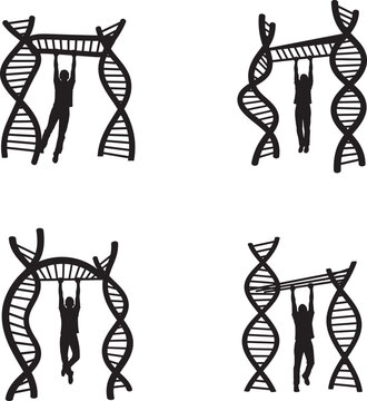 Dna replication and recombination process illustrations